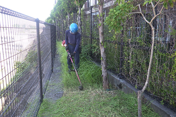 除草作業